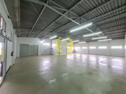 https://img.olx.com.br/thumbs256x256/49/495634298244706.jpg