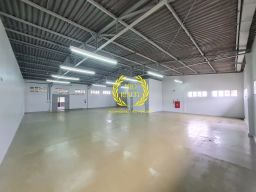 https://img.olx.com.br/thumbs256x256/49/495647772606749.jpg