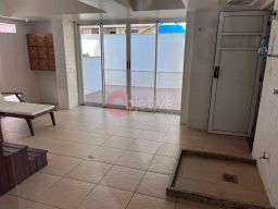 https://img.olx.com.br/thumbs256x256/49/495686913802003.jpg