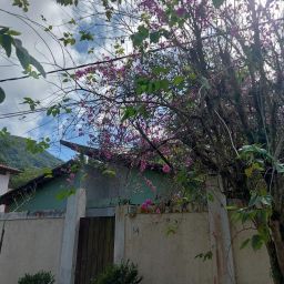 https://img.olx.com.br/thumbs256x256/49/496511765760666.jpg