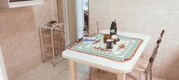 https://img.olx.com.br/thumbs256x256/49/496516153673209.jpg