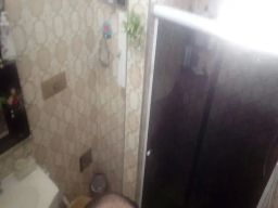 https://img.olx.com.br/thumbs256x256/49/496547758547787.jpg