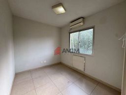 https://img.olx.com.br/thumbs256x256/49/496564402755053.jpg