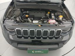 https://img.olx.com.br/thumbs256x256/49/496566166388226.jpg