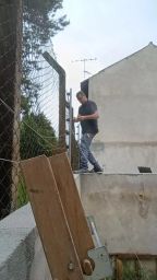 https://img.olx.com.br/thumbs256x256/49/496566390297589.jpg