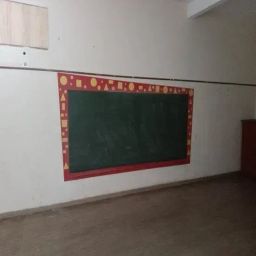 https://img.olx.com.br/thumbs256x256/49/496607192358809.jpg