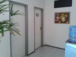 https://img.olx.com.br/thumbs256x256/49/497433180388481.jpg