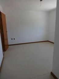 https://img.olx.com.br/thumbs256x256/49/497505769315389.jpg