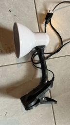 https://img.olx.com.br/thumbs256x256/49/497522131250470.jpg