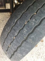 https://img.olx.com.br/thumbs256x256/49/497596222809101.jpg