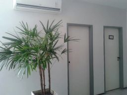 https://img.olx.com.br/thumbs256x256/49/498460308096021.jpg