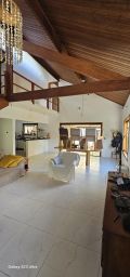 https://img.olx.com.br/thumbs256x256/49/498511744441499.jpg