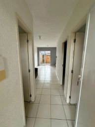 https://img.olx.com.br/thumbs256x256/49/498530283490567.jpg