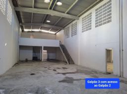 https://img.olx.com.br/thumbs256x256/49/498531157927981.jpg