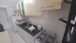 https://img.olx.com.br/thumbs256x256/49/498535889788933.jpg