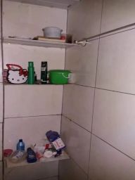 https://img.olx.com.br/thumbs256x256/49/498544390263829.jpg