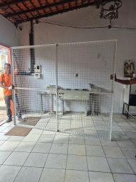 https://img.olx.com.br/thumbs256x256/49/498567150535503.jpg
