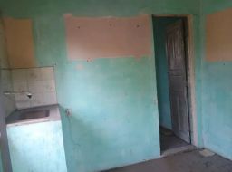 https://img.olx.com.br/thumbs256x256/49/498590284670372.jpg
