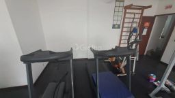 https://img.olx.com.br/thumbs256x256/49/499542169605523.jpg