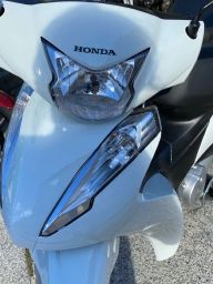 https://img.olx.com.br/thumbs256x256/49/499550754929533.jpg