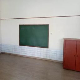https://img.olx.com.br/thumbs256x256/49/499619556216529.jpg