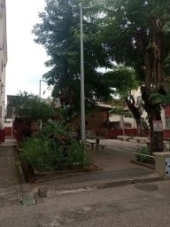 https://img.olx.com.br/thumbs256x256/50/500509647524995.jpg