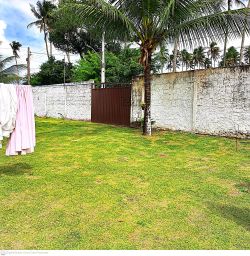 https://img.olx.com.br/thumbs256x256/50/500522289887503.jpg