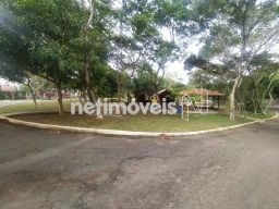 https://img.olx.com.br/thumbs256x256/50/500528645325234.jpg