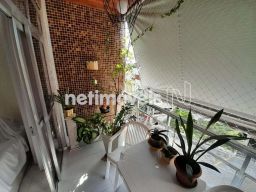 https://img.olx.com.br/thumbs256x256/50/501537392696456.jpg
