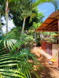 https://img.olx.com.br/thumbs256x256/50/501537870270203.jpg