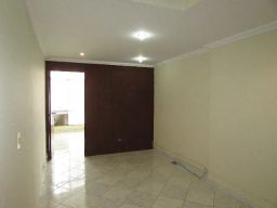 https://img.olx.com.br/thumbs256x256/50/501557028150817.jpg