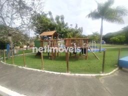 https://img.olx.com.br/thumbs256x256/50/501590044577397.jpg