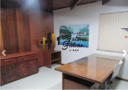 https://img.olx.com.br/thumbs256x256/50/501650921933233.jpg