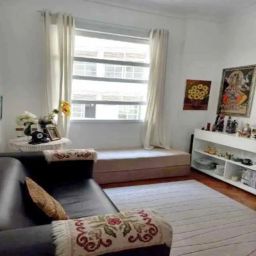 https://img.olx.com.br/thumbs256x256/50/502507282143976.jpg