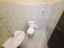 https://img.olx.com.br/thumbs256x256/50/502510875256640.jpg
