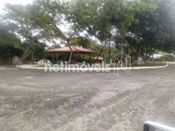 https://img.olx.com.br/thumbs256x256/50/502543401064800.jpg