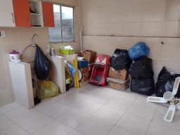 https://img.olx.com.br/thumbs256x256/50/502544266907744.jpg