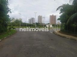 https://img.olx.com.br/thumbs256x256/50/502562649255594.jpg