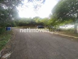 https://img.olx.com.br/thumbs256x256/50/502566168548879.jpg