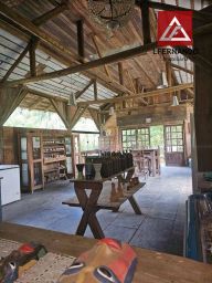 https://img.olx.com.br/thumbs256x256/50/502571647336984.jpg