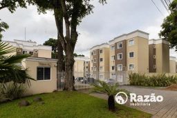https://img.olx.com.br/thumbs256x256/50/502579041404640.jpg
