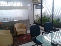 https://img.olx.com.br/thumbs256x256/50/503429422045985.jpg