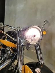 https://img.olx.com.br/thumbs256x256/50/503550279222569.jpg