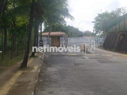 https://img.olx.com.br/thumbs256x256/50/503580041912169.jpg