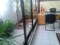 https://img.olx.com.br/thumbs256x256/50/504407303351069.jpg