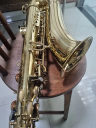 https://img.olx.com.br/thumbs256x256/50/504547763411836.jpg