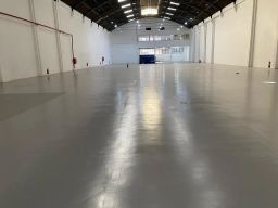 https://img.olx.com.br/thumbs256x256/50/504602795053901.jpg