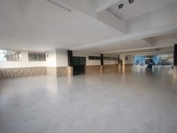 https://img.olx.com.br/thumbs256x256/50/504694687720237.jpg