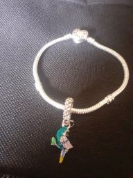 https://img.olx.com.br/thumbs256x256/50/505415681799607.jpg