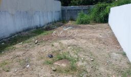 https://img.olx.com.br/thumbs256x256/50/505519407070893.jpg